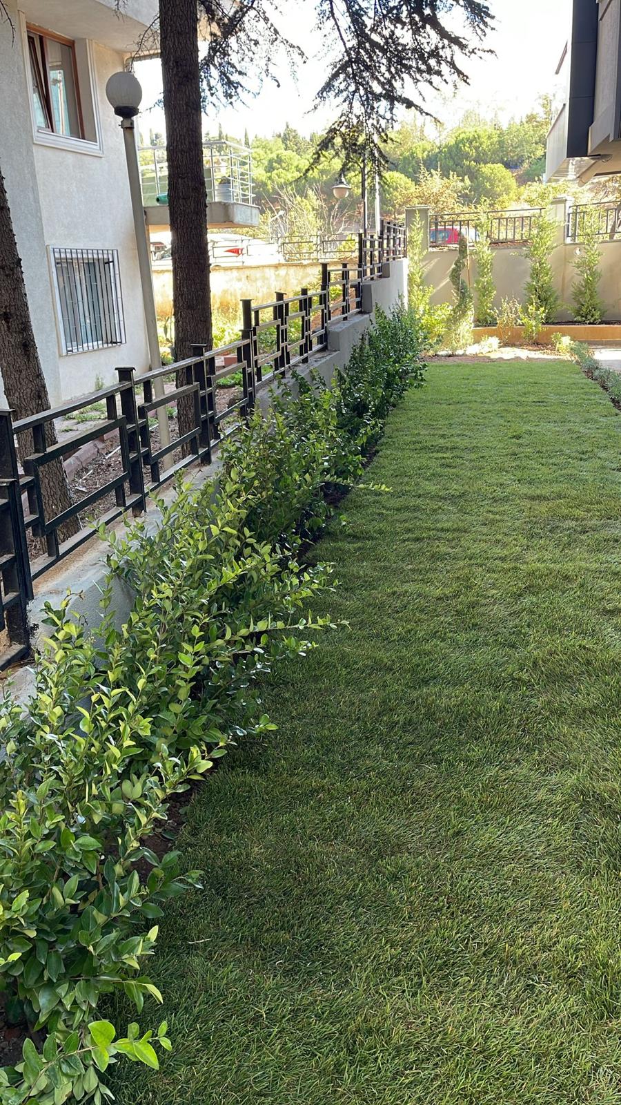 Kentsel Dönüşüm Projelerindeki Başlıca Peyzaj işleri