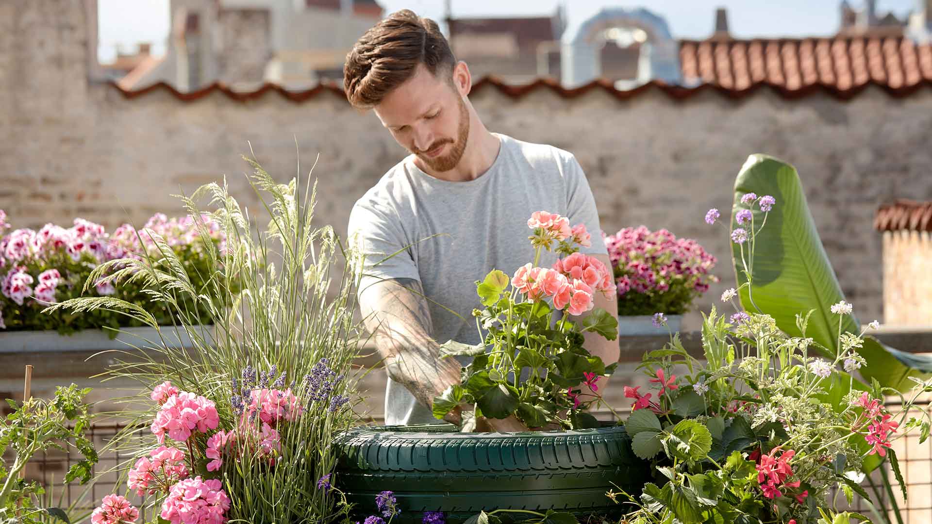 Peyzaj Tasarım ve Uygulama