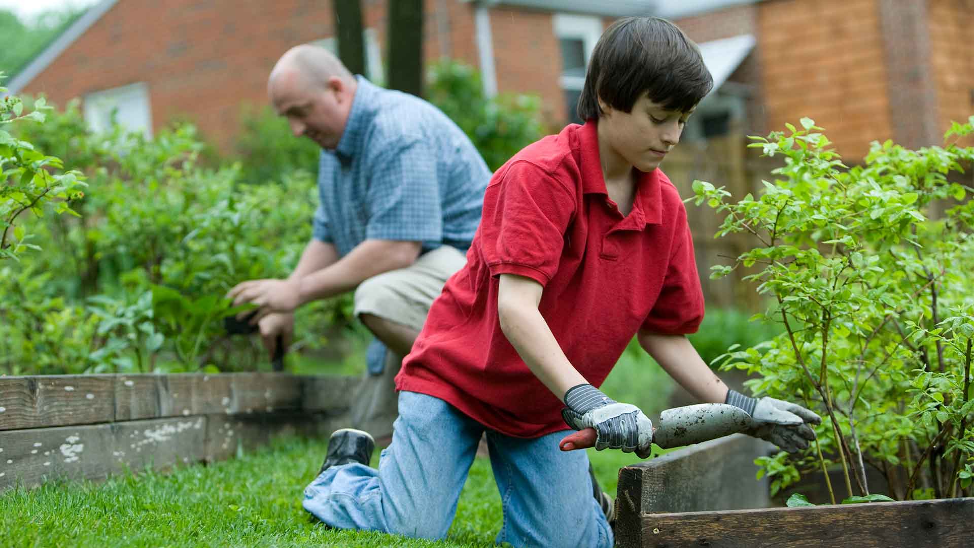Modern Peyzaj Projeleri